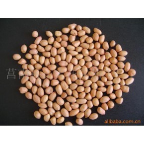 莒南縣正大花生加工廠