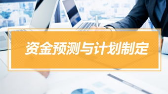 資金管理實(shí)操特訓(xùn)營(yíng) 實(shí)務(wù)課程