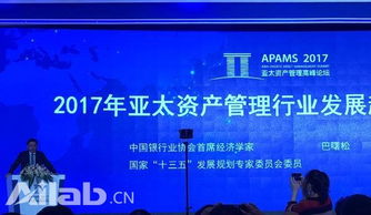 新浪6640萬美元投資土豆網持股9.05% 資本管理戰略解析