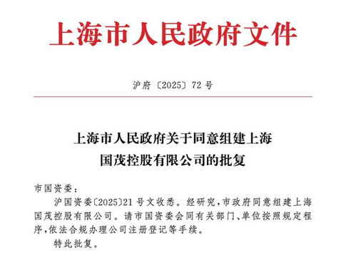 上海市政府批準(zhǔn)成立注冊(cè)資本130億元新國企，聚焦計(jì)算機(jī)軟硬件技術(shù)研發(fā)